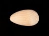 Half Hen Egg -( Split ) - 2 1/2" High